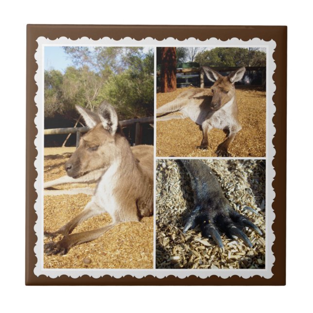 Thee Kangaroo Picture Collage, Ceramic Tile (Front)