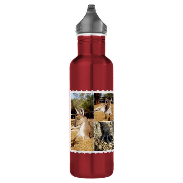 Thee Kangaroo Picture Collage, Water Bottle (Right)