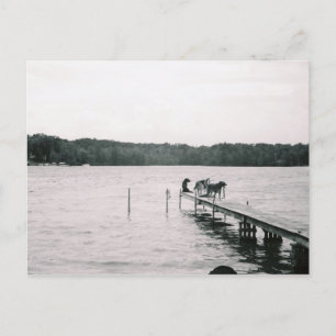 Thelma on the Dock Postcard