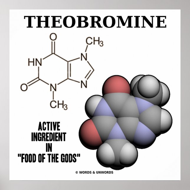 Theobromine Chocolate Molecule Active Ingredient Poster (Front)