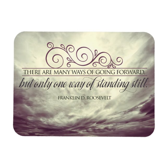 Theodore Roosevelt Inspirational Quote "Standing" Magnet (Horizontal)