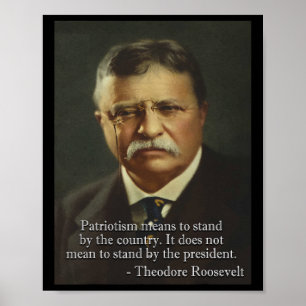 Theodore Roosevelt Meme Anti Trump Tee Poster