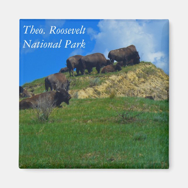 Theodore Roosevelt National Park ND magnet (Front)