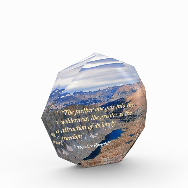 Theodore Roosevelt Quotation Photo Block (Left)