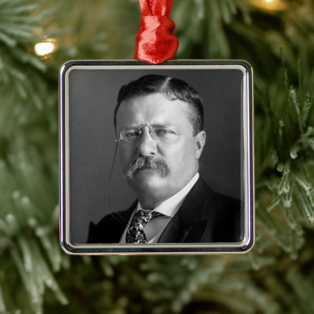 Theodore Roosevelt Teddy President Republican Metal Tree Decoration (Tree)