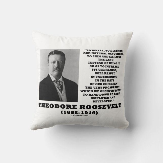 Theodore Roosevelt Waste Destroy Natural Resources Cushion (Back)