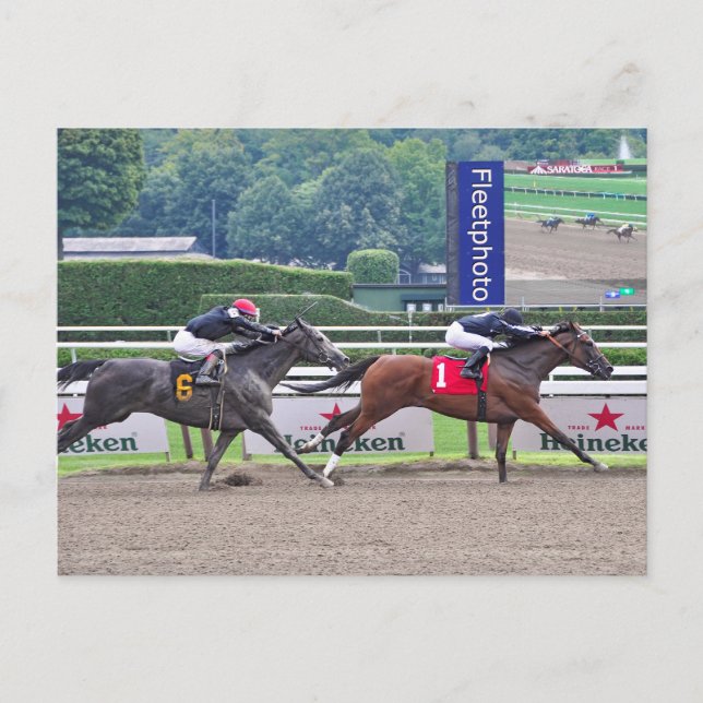 Theophilia beating Carrumba Postcard (Front)