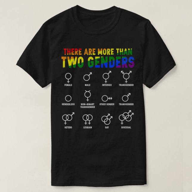 There Are More Than Two Genders Rainbow LGBTQ Prid T-Shirt (Design Front)