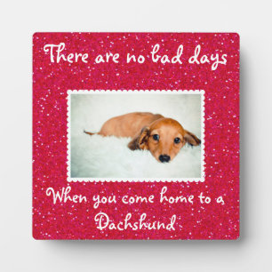 There Are No Bad Days...Photo Ready Pet Plaque