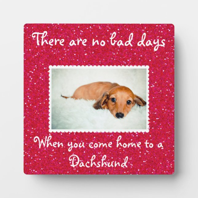 There Are No Bad Days...Photo Ready Pet Plaque (Front)