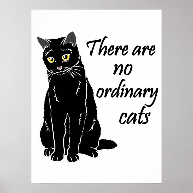There Are No Ordinary Cats Poster (Front)