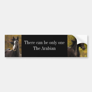 There can be only oneThe Ar... Bumper Sticker
