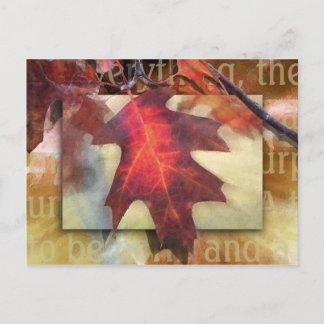 There is a Season Postcard