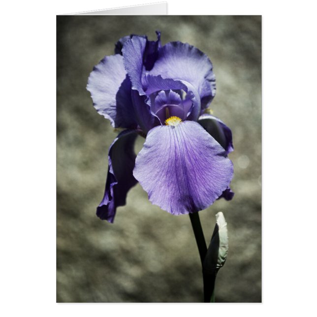 There is Beauty Card (Front)