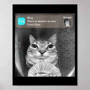 There is motion at front door funny cat meme camer poster