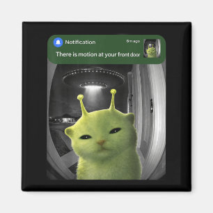 There is Motion At Front Door Funny Cat UFO Meme Magnet
