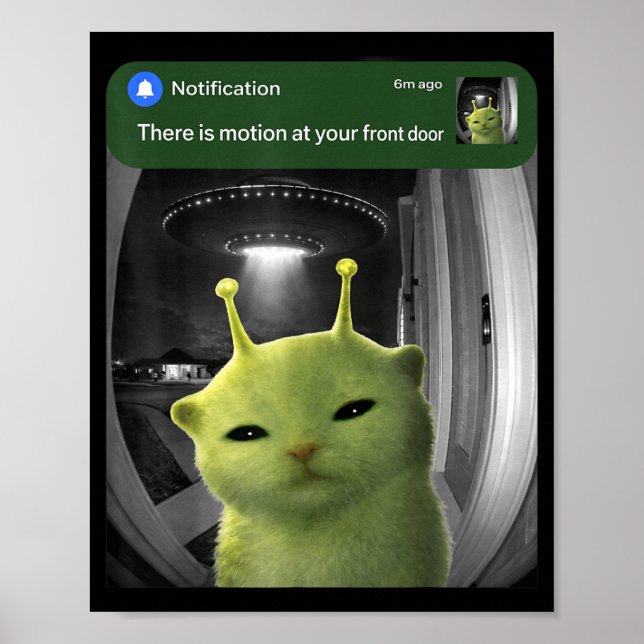 There is Motion At Front Door Funny Cat UFO Meme Poster (Front)