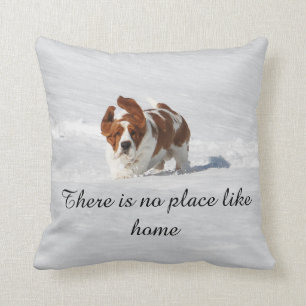 "There is no place like home" pillow w/Basset