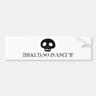 There is no planet 'B' Bumper Sticker