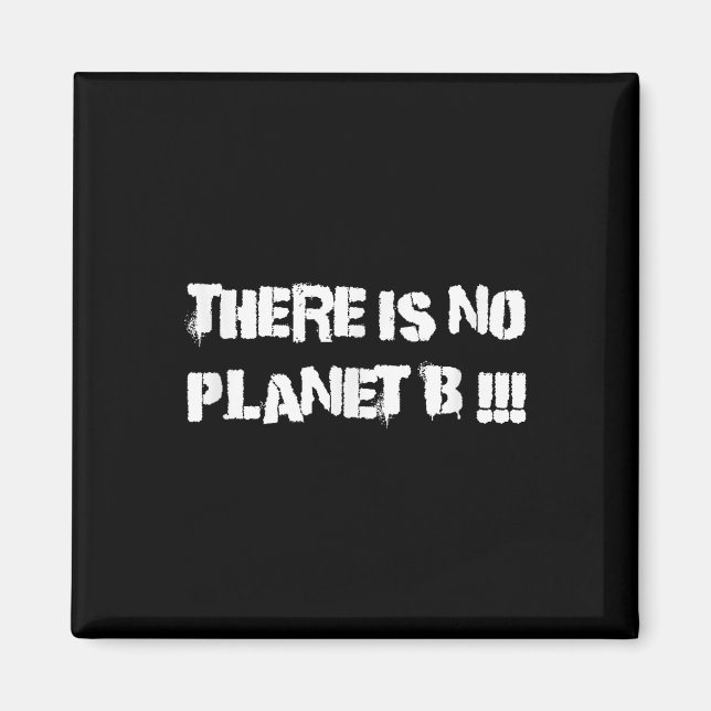 There Is No Planet B Climate Change Environmental  Magnet (Front)