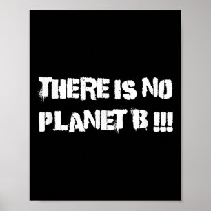 There Is No Planet B Climate Change Environmental Poster