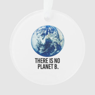 There is no Planet B Ornament
