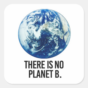There is no Planet B Square Sticker