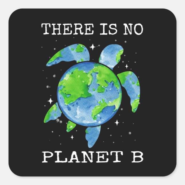 There Is No Planet B Turtle Design Earth Day Gifts Square Sticker (Front)
