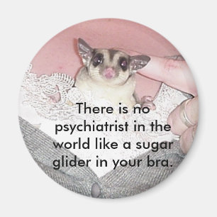 There is no psychiatrist in... magnet