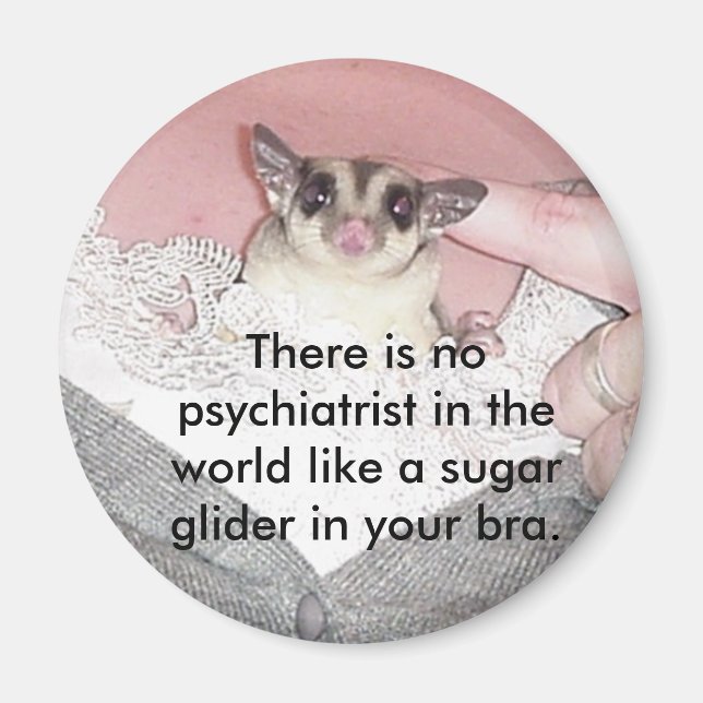 There is no psychiatrist in... magnet (Front)