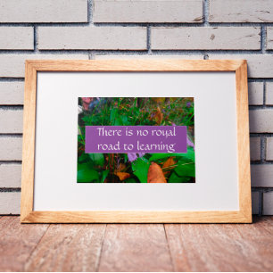 There is no royal road to learning poster