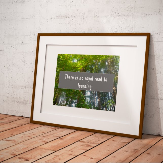 There is no royal road to learning proverb  poster (Creator Uploaded)