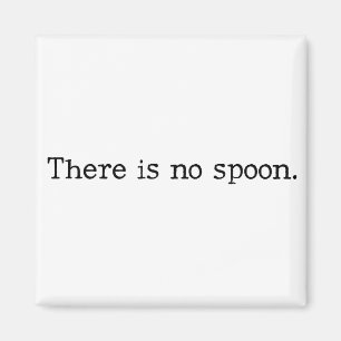 There is no spoon magnet