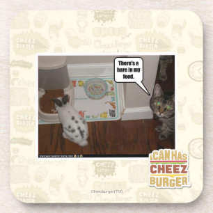 There's a hare in my food. coaster