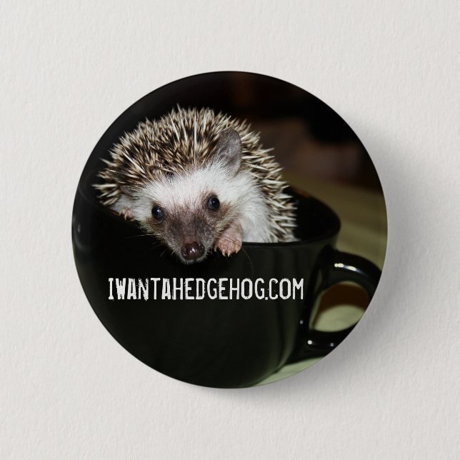 There's a hedgehog in my coffee 6 cm round badge (Front)