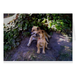 There's no place I would rather be