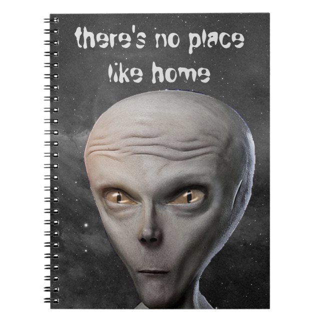 there's no place spiral notebook (Front)