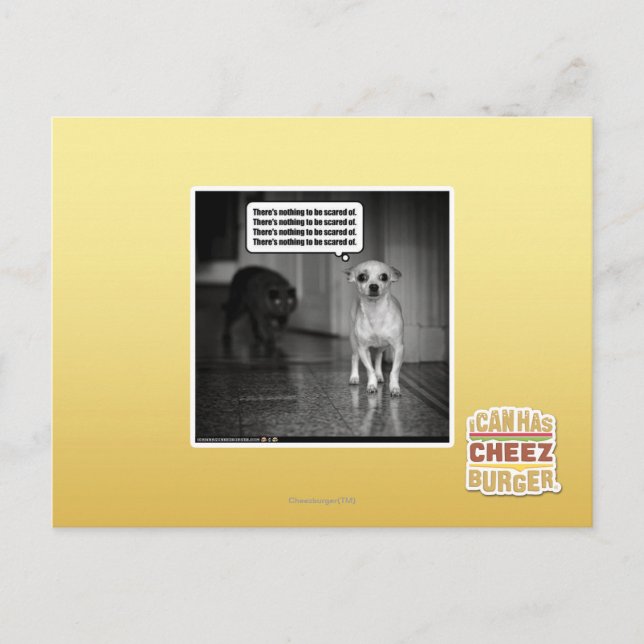 There's nothing to be scared of postcard (Front)