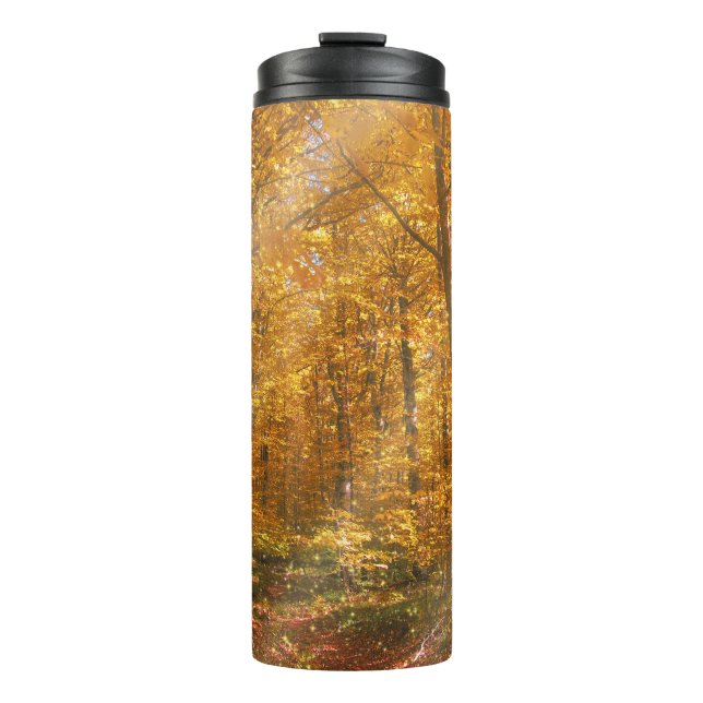 Thermal Tumbler Autumn forest Gold Rays (Front)
