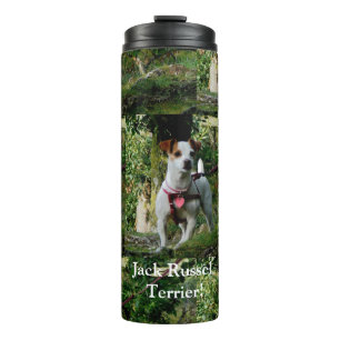 Thermal Tumbler/Jack Russell terrier! Tumbler