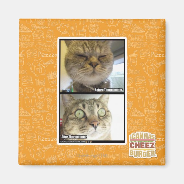 Thermometer Magnet (Front)