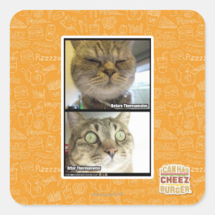 Thermometer Square Sticker