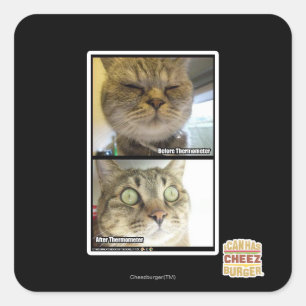 Thermometer Square Sticker