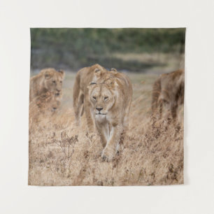 THESE ANIMALS DIDN’T SEEM THAT SCARY COMING UP THE TAPESTRY