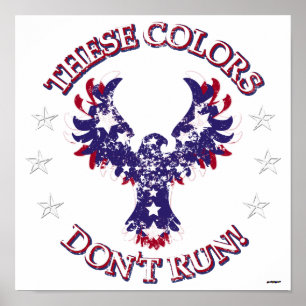 These Colours Don't Run! Eagle Stars & Stripes Poster