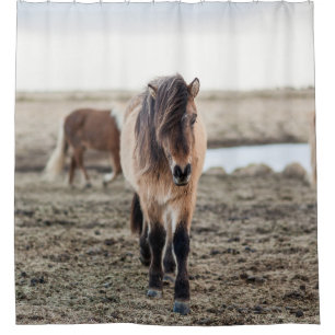 THESE HORSES ARE VERY SWEET AND INQUISITIVE SHOWER CURTAIN