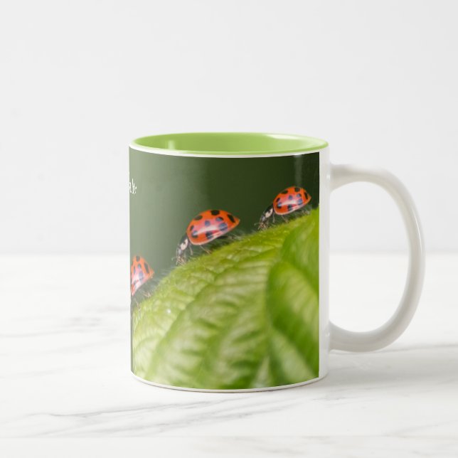 These little ladybugs grant a lucky day! Two-Tone  Two-Tone Coffee Mug (Right)