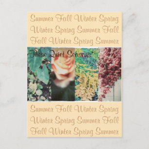 These Quiet Seasons Four Seasons Postcard