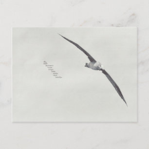 "these wings" postcard