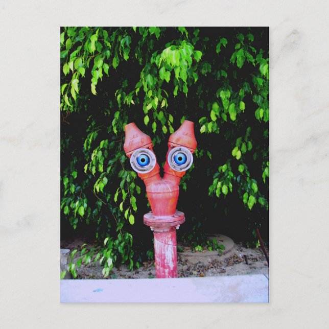 They are here postcard (Front)